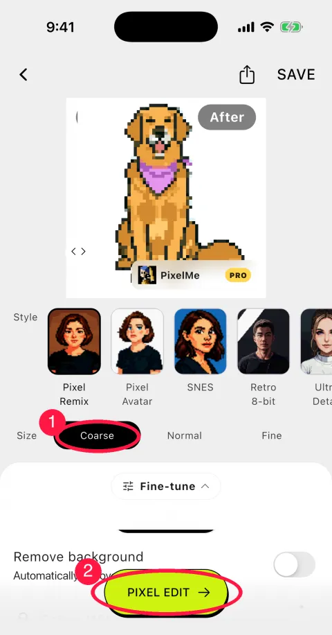 The app's conversion result with red circles on Coarse and PIXEL EDIT