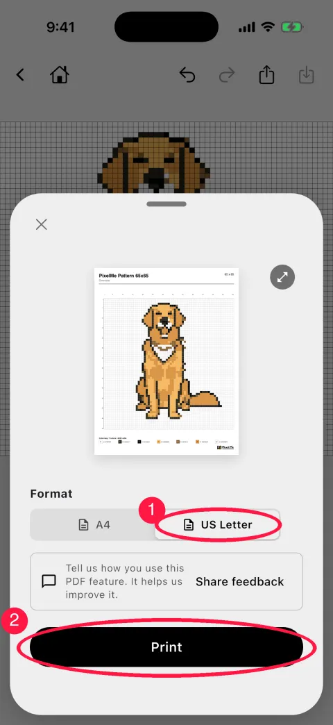 Print PDF sheet with US Letter and Print circled
